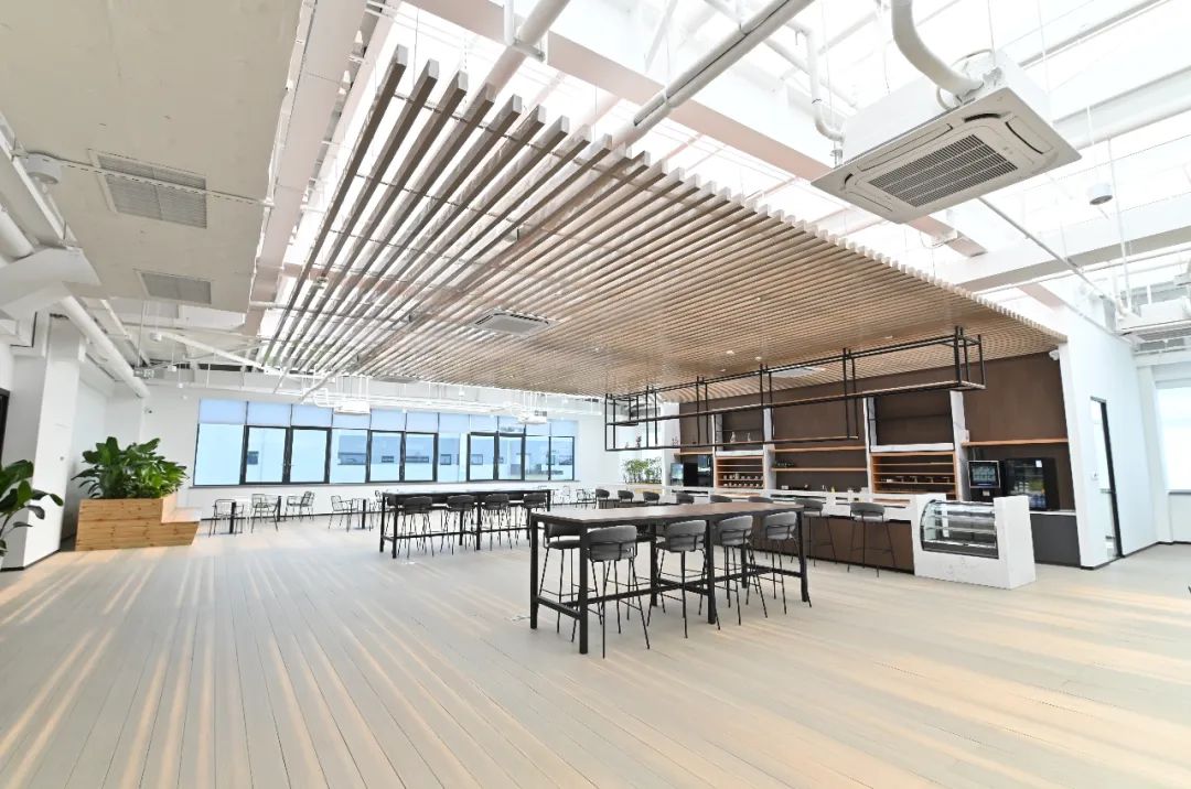 The new building of Mikrouna Company 